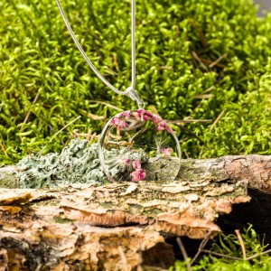 Naszyjnik z dmuchawcem i wrzoścem oprawionym w srebro.