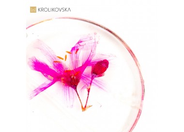 Biżuteria damska kolorowa z różowym kwiatem.
